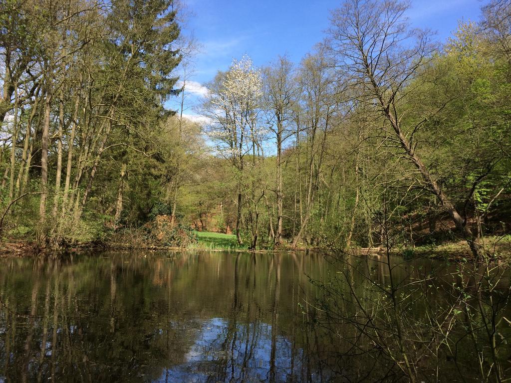 Vila Liefkeshoek Cuijk Exteriér fotografie